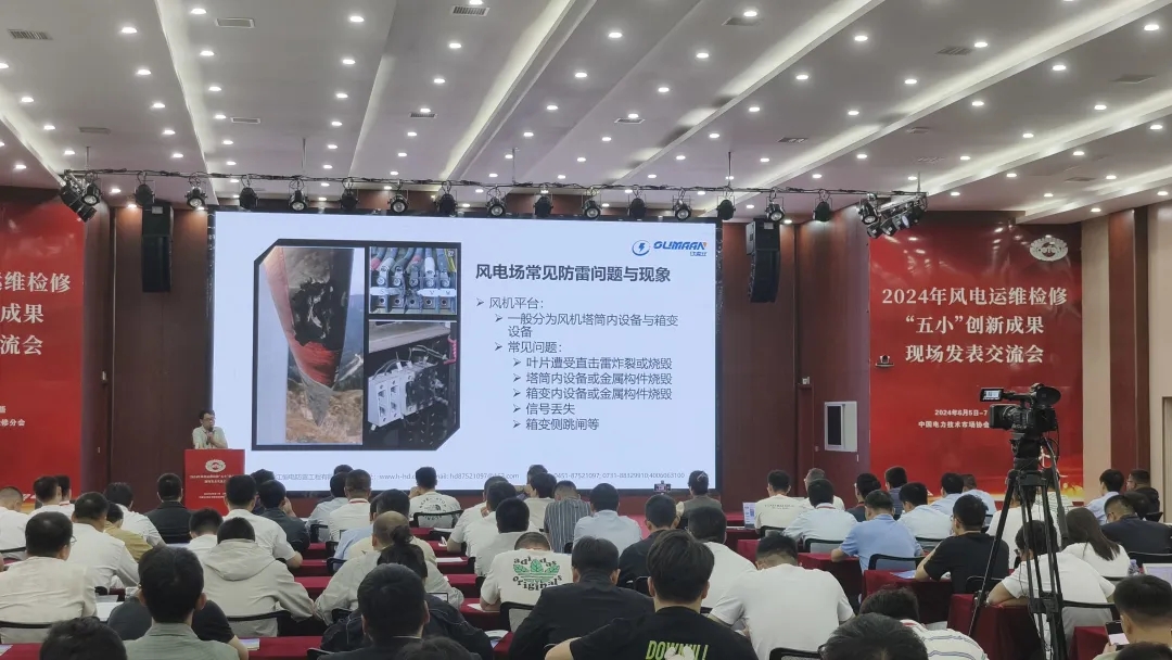 Oumaan Technology Group-Hengdian Lightning Protection Attended the