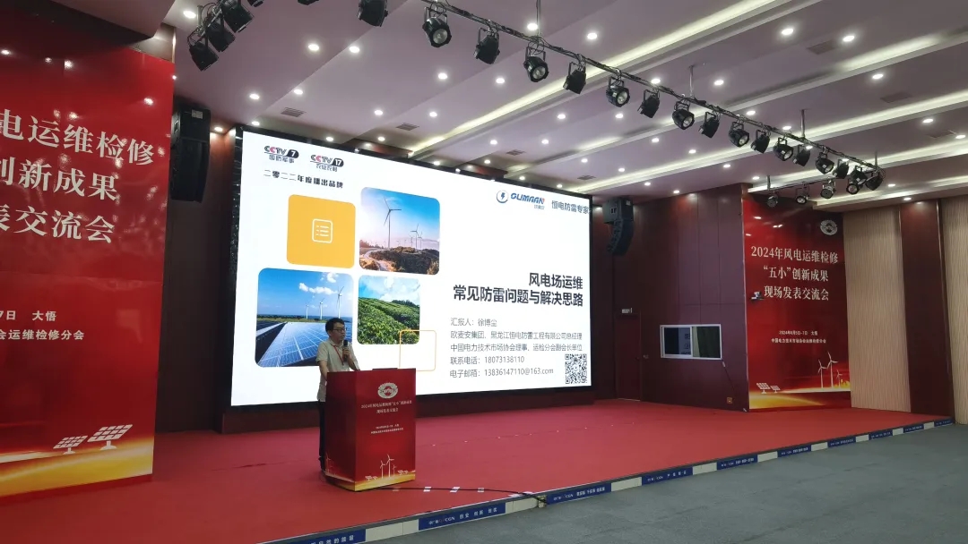 Oumaan Technology Group-Hengdian Lightning Protection Attended the