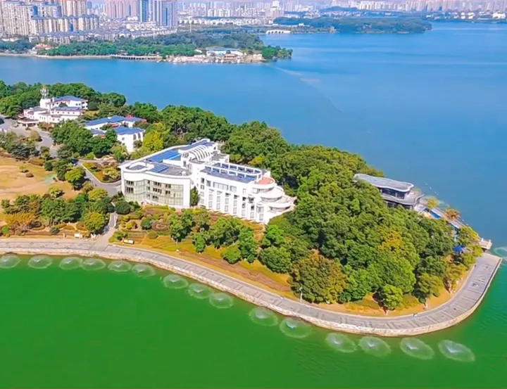 Yueyang South Lake Hotel Lightning Protection And Grounding Transformation Project Case