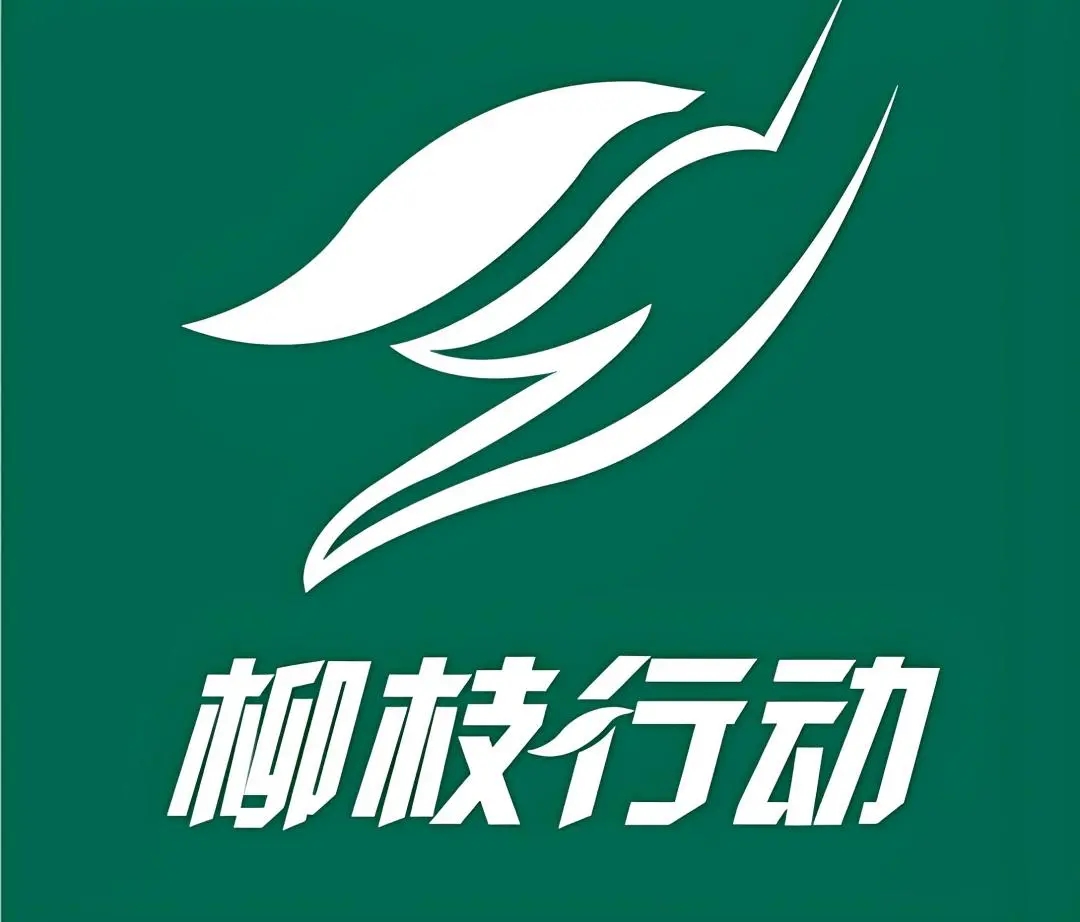 柳枝行动