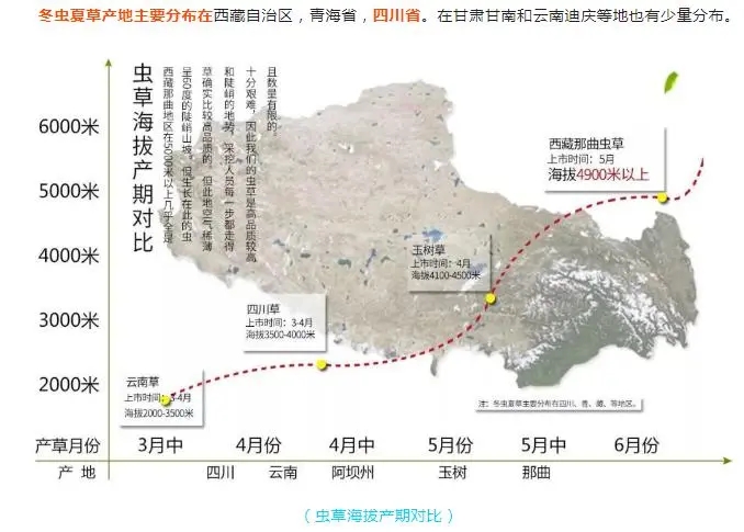 雷电威胁与地理风险