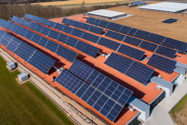 光伏防雷检测不合格怎么处理