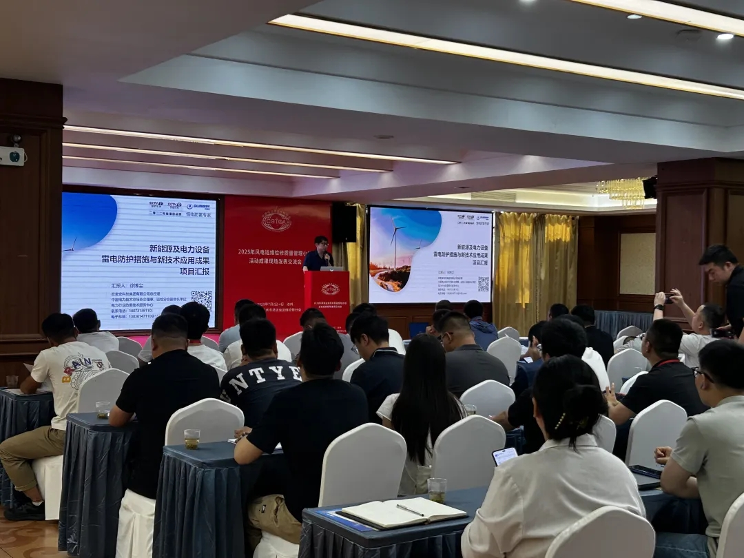 369 Achievements Unveiled at Chizhou-2025 Wind Power O&M Quality Exchange Conference Concludes Successfully