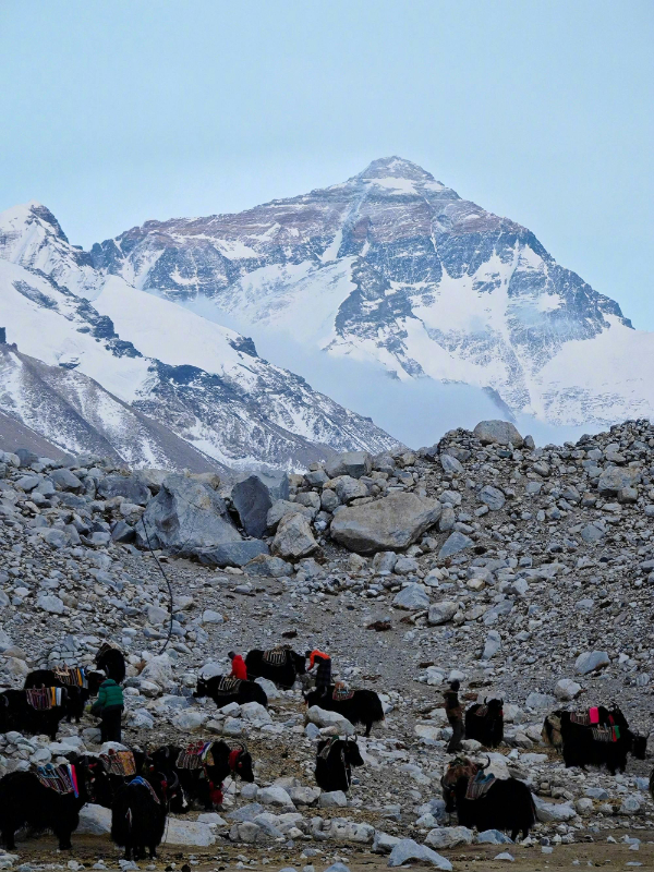 青海电网雷电监测全域覆盖,为