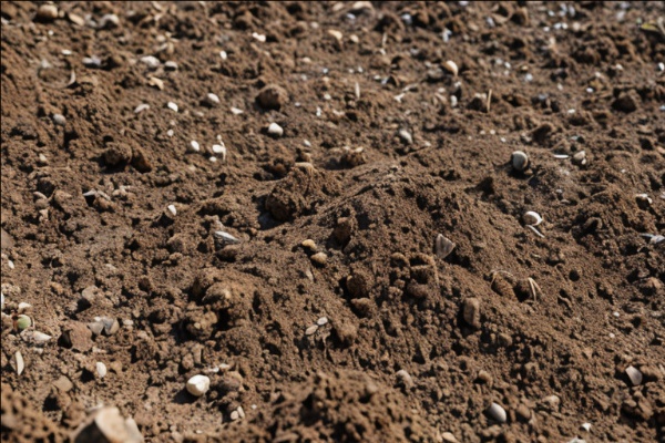 土壤电阻率对接地电阻的影响