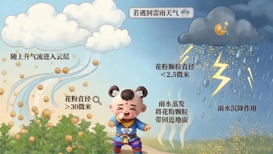 雷电高发季如何保平安